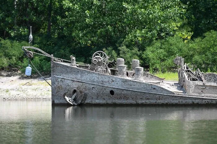 Ein Schiff, das Geschichte erzählt: Im Naturschutzgebiet Gualtieri, am Ufer des Pos in der italienischen Provinz Emilia-Romagna, ragte durch den niedrigen Flusspegel plötzlich ein einst versunkenes Schiff aus dem Wasser. Die etwa 30 Meter lange "Zibello" war im Zweiten Weltkrieg in Betrieb, bis es 1943 von Amerikanern versenkte wurde.