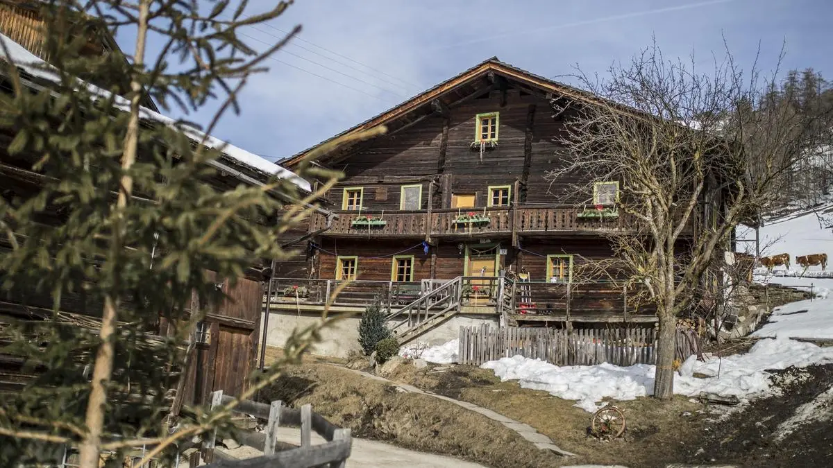 Reportage Bergbauernhof Familie Gorgasser Heiligenblut Februar 2019