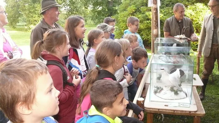 2550 Volks- und Mittelschüler besuchen diese Woche die Ausstellung „Natur und Jagd erleben“ im Schloss Stadl der Familie Kinsky in Mitterdorf/Raab.