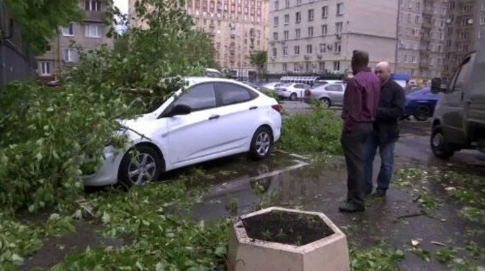 In Moskau entwurzelten Hunderte von Bäumen