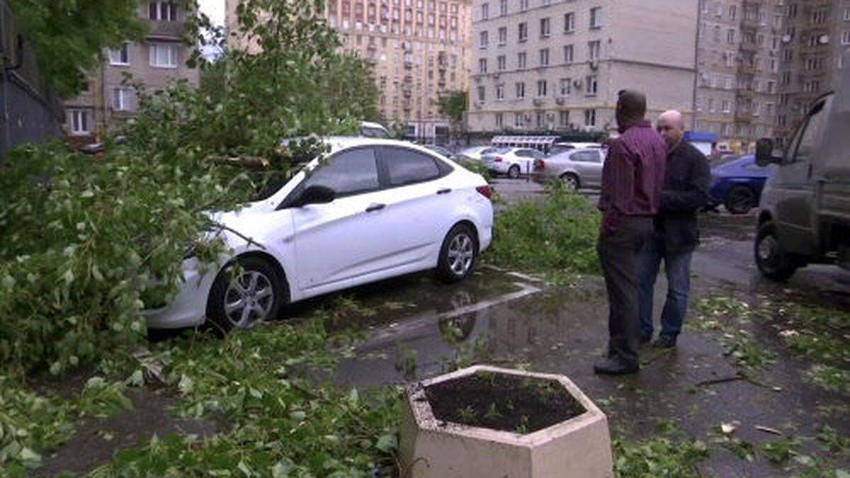 In Moskau entwurzelten Hunderte von Bäumen