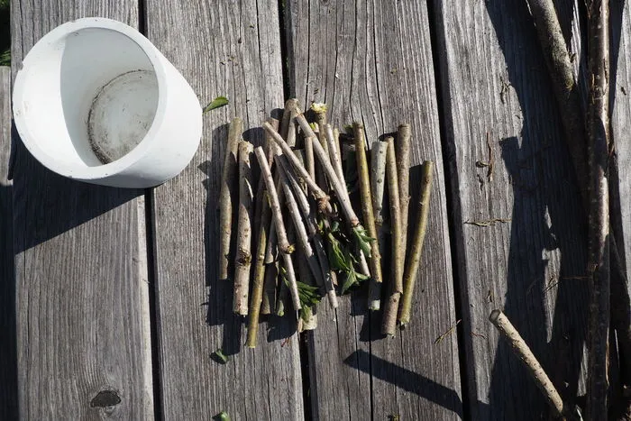 Zu Beginn die gesammelten Hölzer (z. B. Weidenhölzer) auf eine passende Größe schneiden. Diese sollten 1-2 cm über den Rand des Blumentopfs hinausstehen.