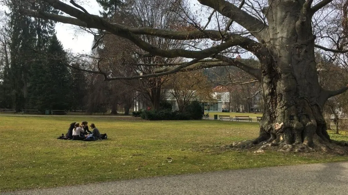 Forum Stadtpark und der Platz der Menschenrechte liegen genau in der Mitte der Schutzzone
