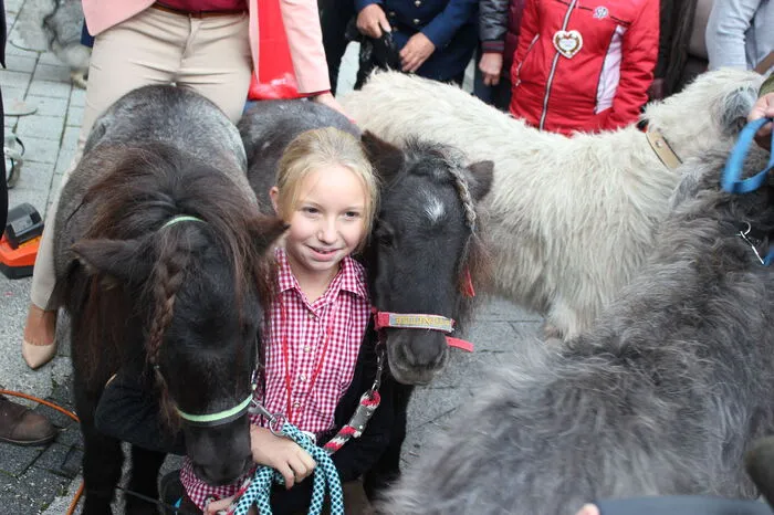 Auf dem Programm stand auch eine Tiersegnung, zu der Evelyne Kollegger mit ihren Mini-Shetys Belinda und Amadeus kam.
