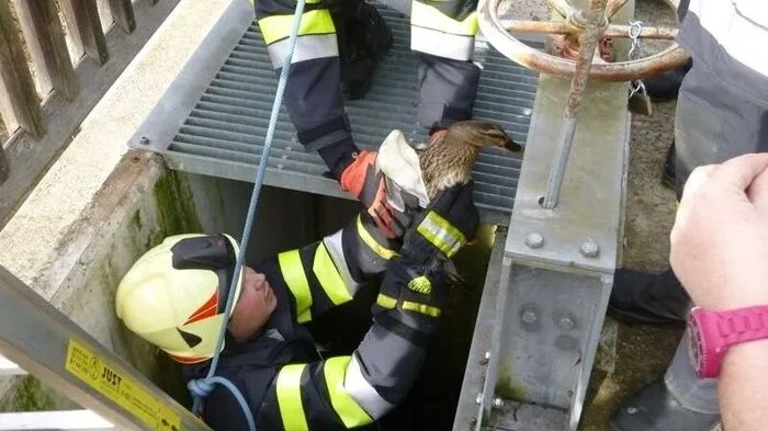 FF Straß als Tierrettung