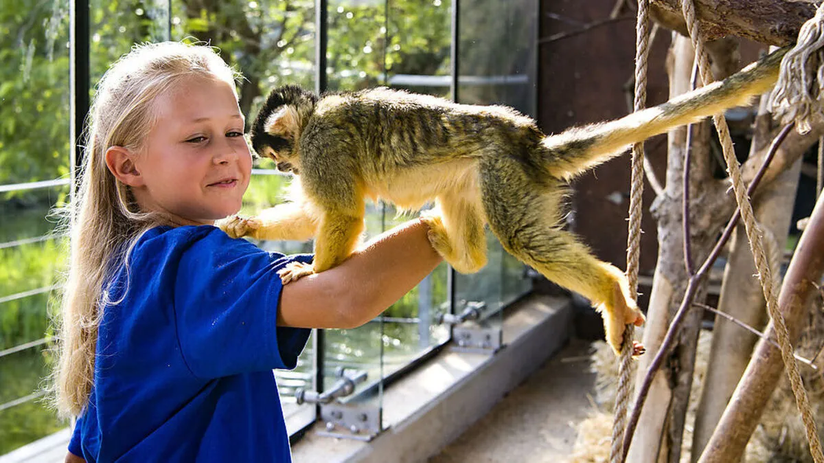 Spring auf! Ich trag dich