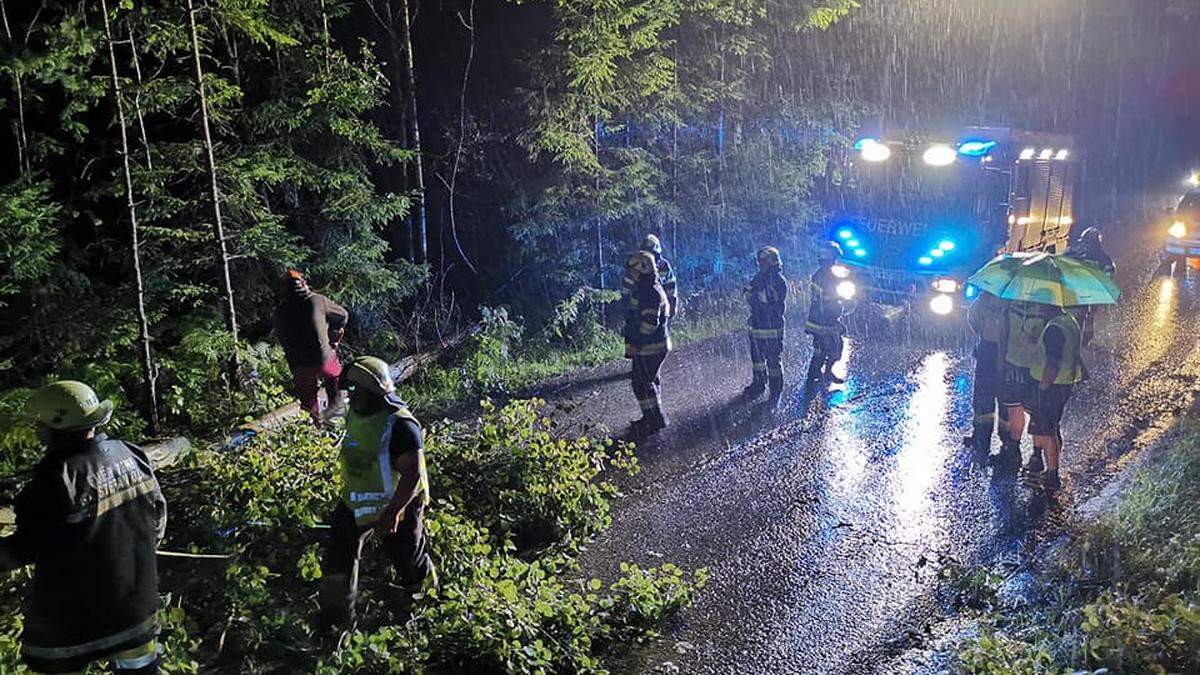 Ein umgestürzter Baum blockierte die Straße in die Hinterlobming bei St. Stefan