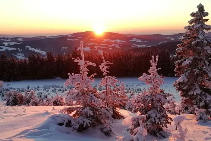 Am 1. Jänner war Leserreporterin Erika Schöngrundner schon früh wach, um den Sonnenaufgang zu fotografieren.