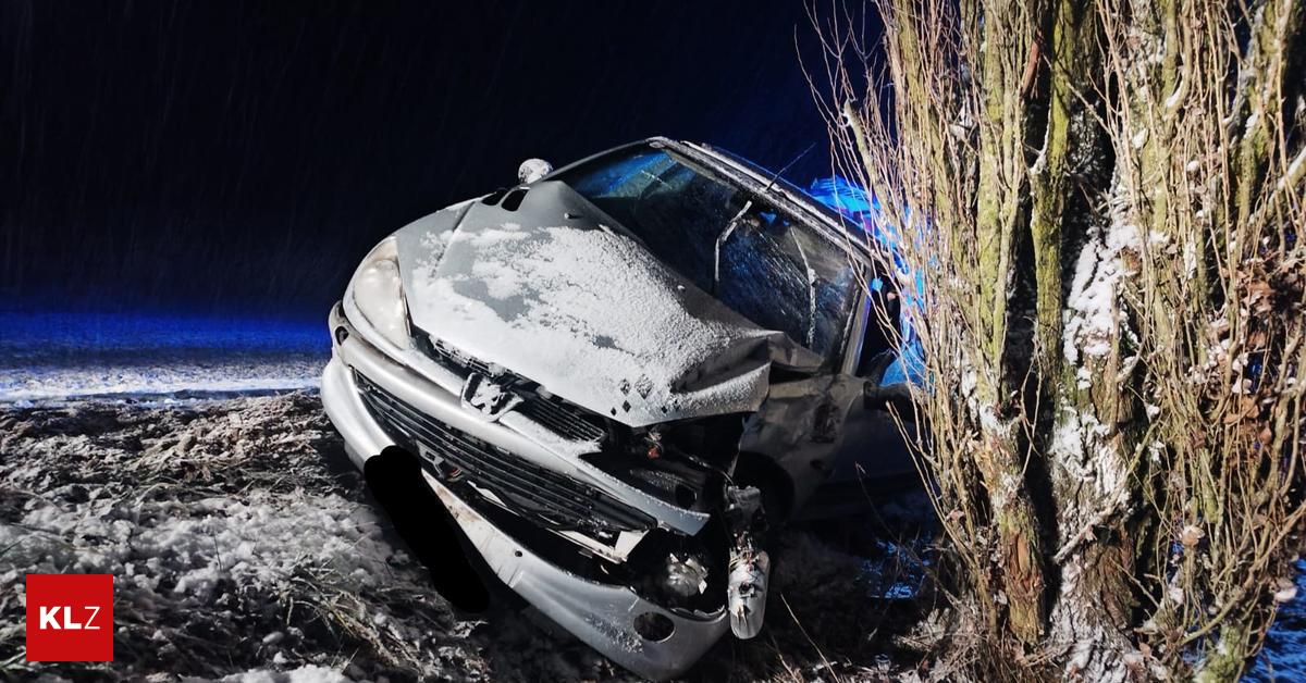 mehr-als-350-einsatzkr-fte-gefordert-winterliche-verh-ltnisse-sorgen-f-r-unf-lle-und-umgest-rzte-b-ume