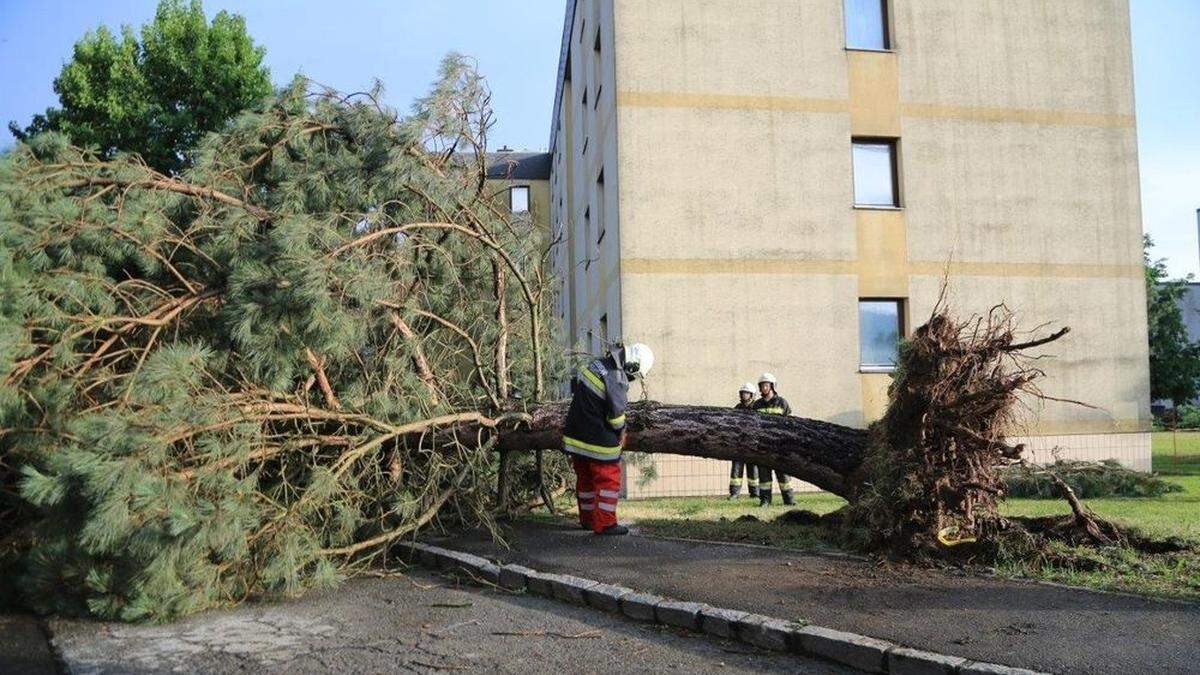 In Knittelfeld, Zeltweg, Fohnsdorf und Judenburg stürzten zahlreiche Bäume um