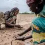 (FILES) In this file photo taken on July 30, 2019 a woman plants some seeds as part of a tree plantation project to reforest the Sahel in Malamawa village, Zinder Region. - The Intergovernmental Panel for Climate Change (IPCC) on August 8, 2019 delivered the most comprehensive scientific overview yet of the links between the land we live off and global warming. (Photo by Luis TATO / FAO / AFP)