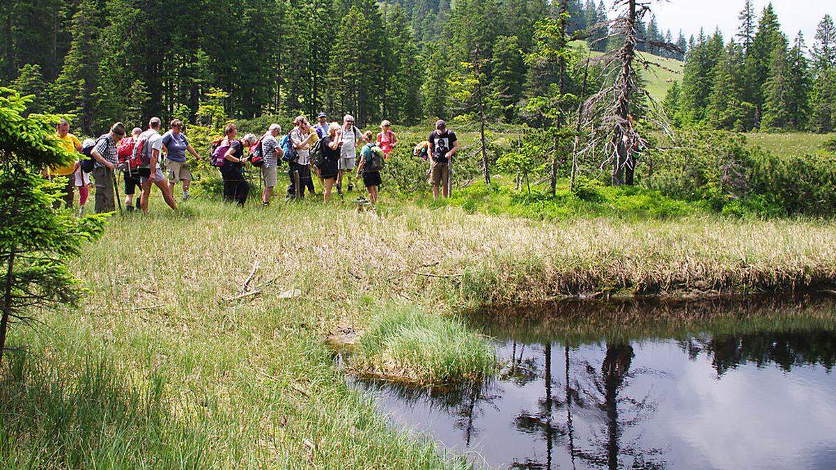 Der idyllische Moorsee im Hochalplmoor weist eine einzigartige Flora und Fauna auf