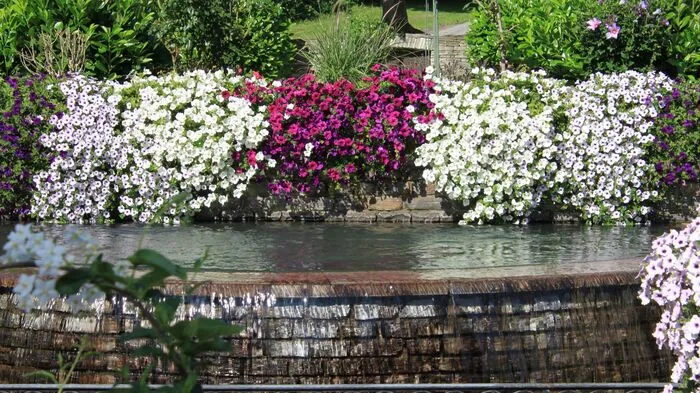 Fünf Floras