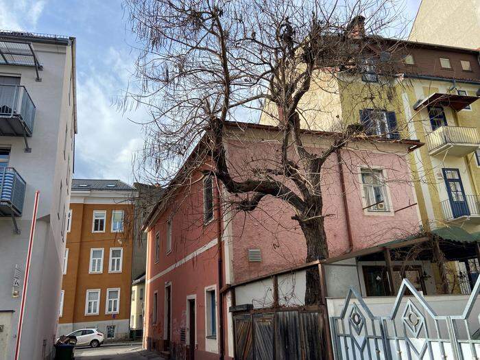 Die Rückseite des Hauses. Wo früher der Gastgarten zu finden war, werden Balkone und Terrassen errichtet