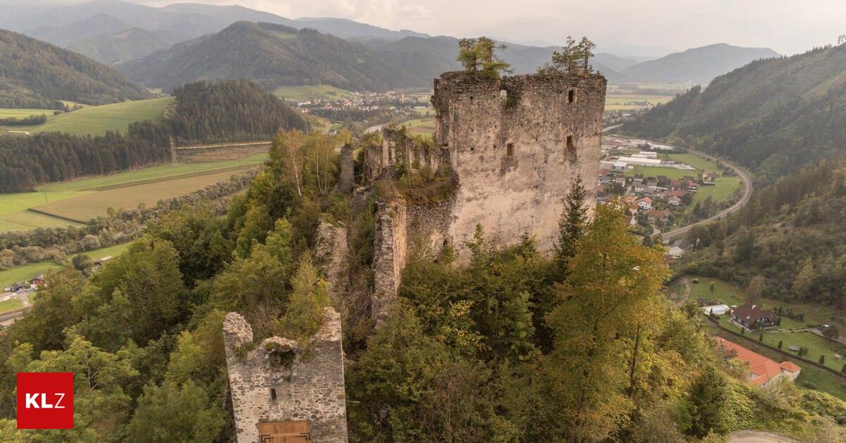 Kuriose-Inserate-Wer-kauft-eine-Burgruine-samt-Wald-f-r-250-000-Euro-