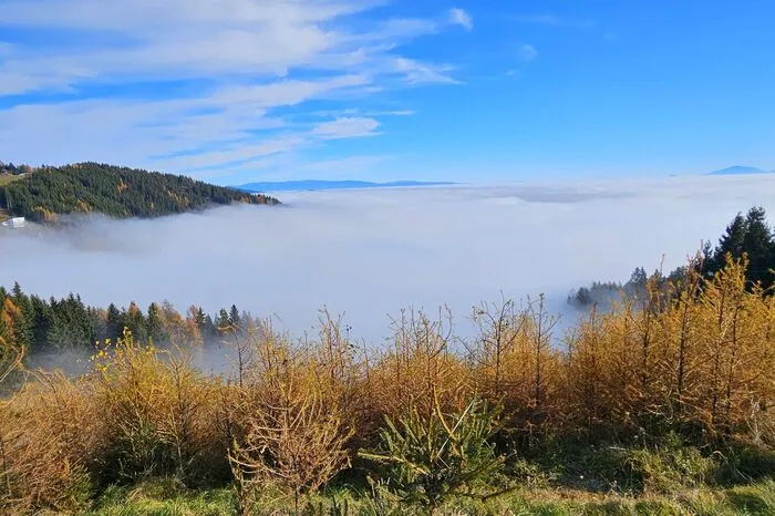 Roswitha Groinig genießt wärmende Sonnenstrahlen in den Bergen, während unten die Nebel hocken. Hier war sie auf der Simonhöhe unterwegs.