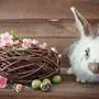easter bunny  with easter eggs and a nest