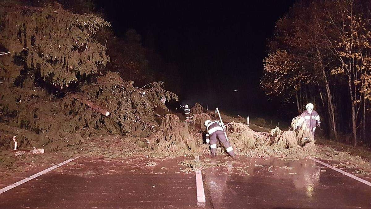 Einsatz in Murau: Zahlreiche Bäume stürzten auf die Straße