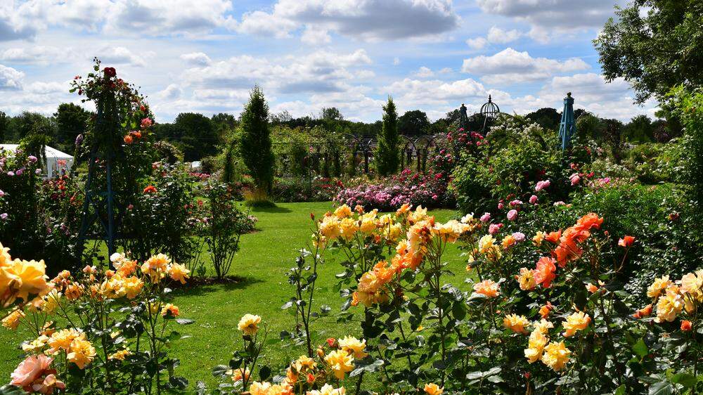Garten Norfolk in Cambridge