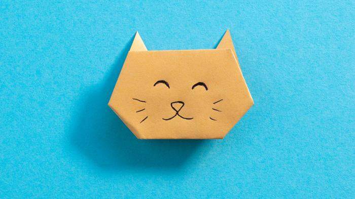 Step by step photo instruction how to make origami paper kitty. Simple diy kids children's concept. finished step 12