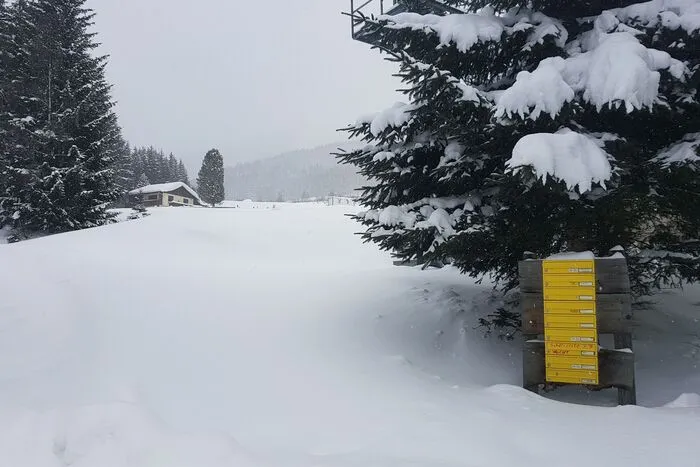 Ganze Siedlungen sind evakuiert.