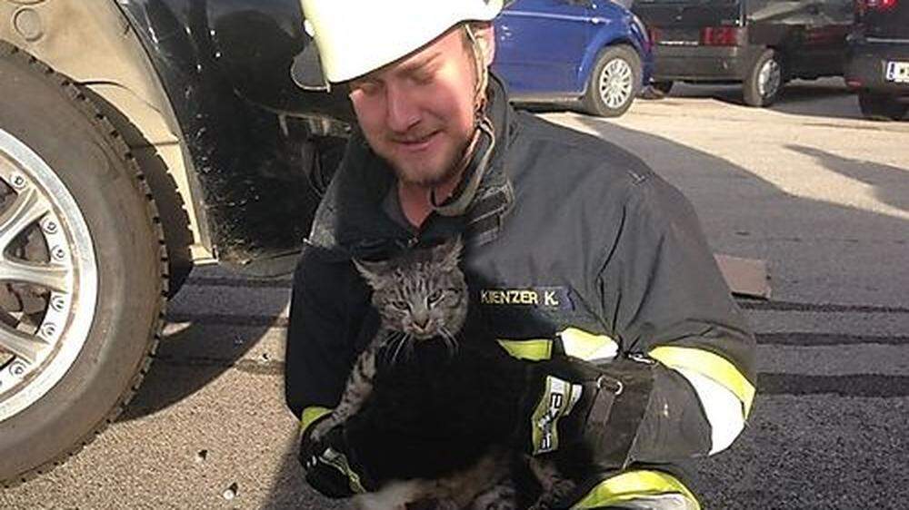 Tierischer Einsatz: Feuerwehr rettet Katze