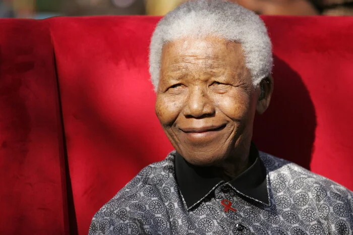 Für seinen Kampf gegen die Apartheid in Südafrika verlieh die Nobeljury Mandela (noch vor seiner Zeit als erster dunkelhäutiger Präsident des Landes) 1993 die Auszeichnung - gemeinsam mit Frederik Willem de Klerk, der damals noch Präsident war.