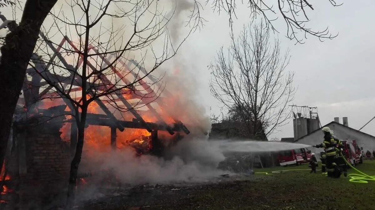 Durch das schnelle Eingreifen wurde ein Übergreifen auf den Schweinestall verhindert