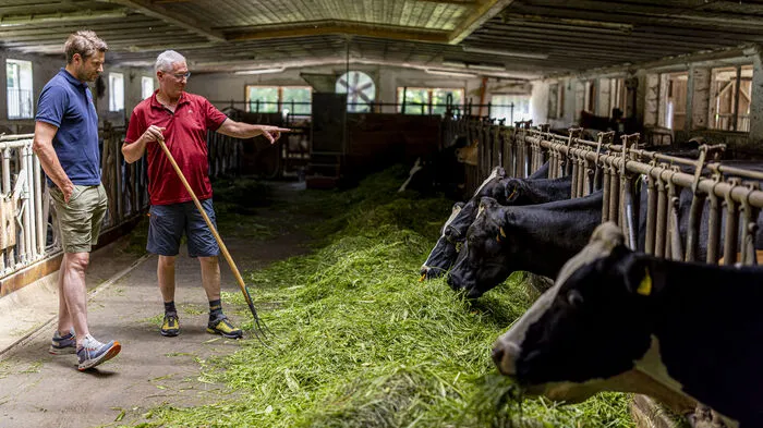 Was die Kühe zu fressen bekommen, schmeckt man natürlich auch in der Milch