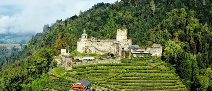 Eine Luftaufnahme einer Burg in Kärnten.