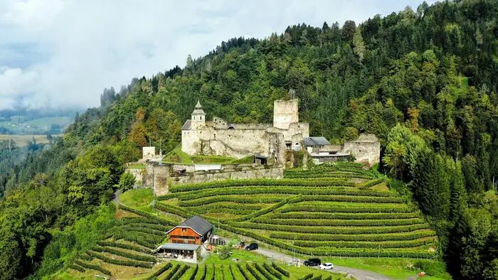 Eine Luftaufnahme einer Burg in Kärnten.