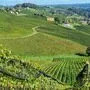 Weingärten soweit das Auge reicht: Die rund 25 Kilometer lange Straße zwischen Ehrenhausen und Leutschach führt durch die größte Weinbauregion der Steiermark