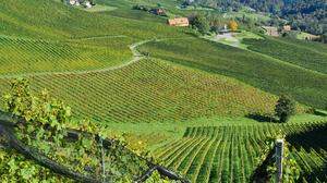 Weingärten soweit das Auge reicht: Die rund 25 Kilometer lange Straße zwischen Ehrenhausen und Leutschach führt durch die größte Weinbauregion der Steiermark