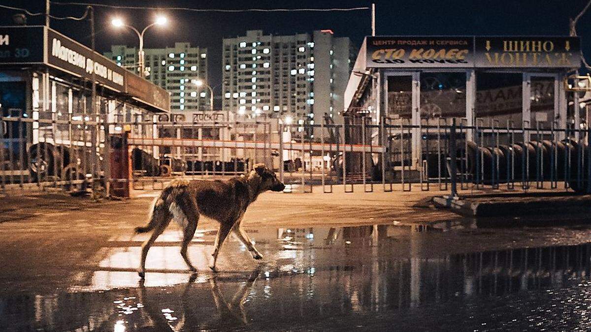 Aufregende Bilder von den nächtlichen Straßen in Moskau