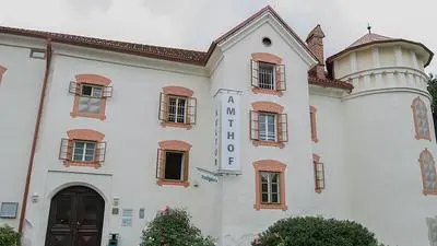 Derzeit werden in der Musikschule im Amthof in Feldkirchen 500 Kinder unterrichtet