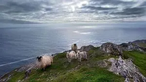 Hinter dem Horizont liegt Amerika