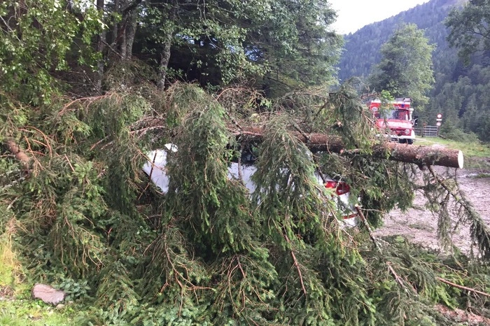 Dieses Auto stand in Kaning dem Baum wohl im Weg.