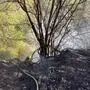 Um 15.53 Uhr wurde die Feuerwehr am 1. Mai zum Einsatz gerufen