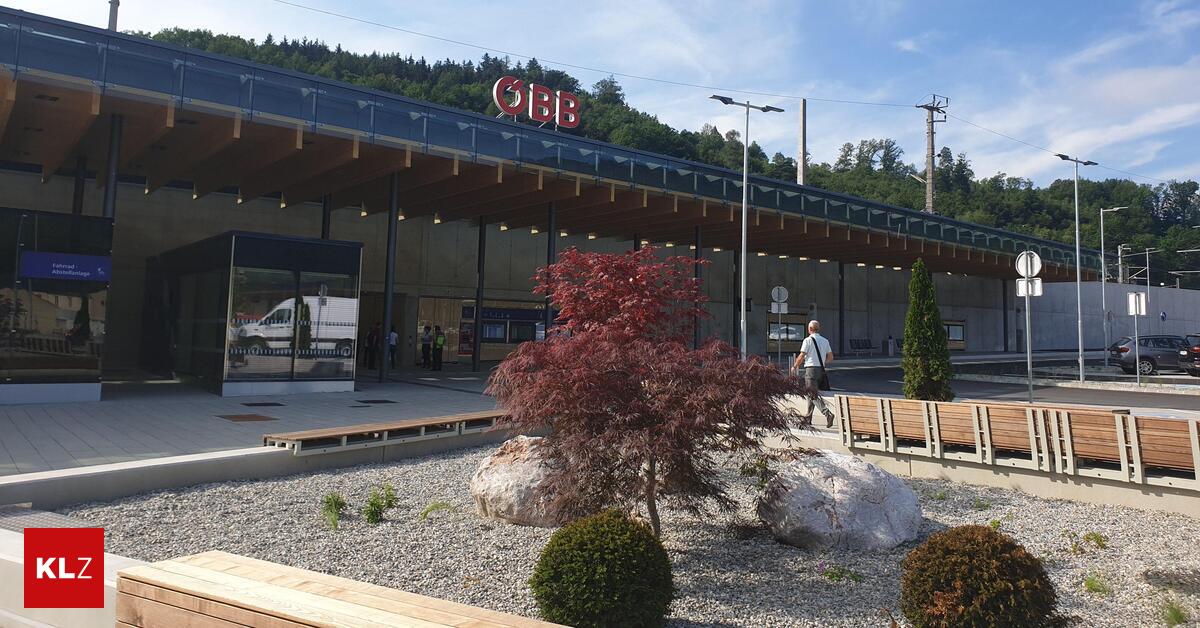 In-Frohnleiten-Opfer-68-versuchte-Trickdieb-zu-stoppen-und-verletzte-sich