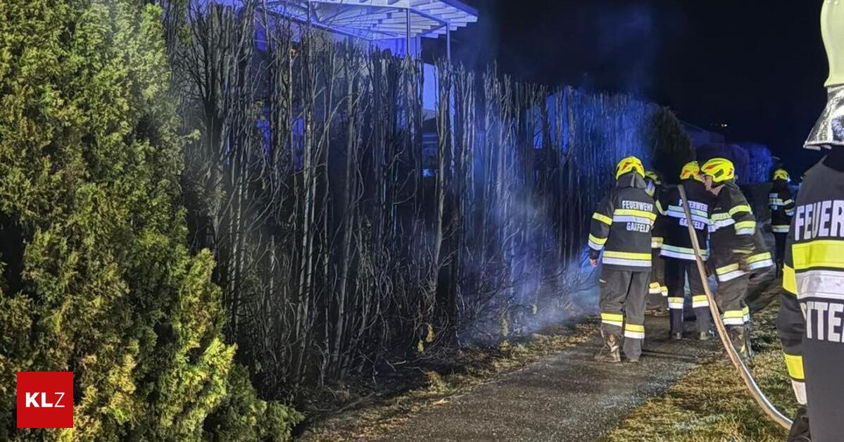 Mysteri-se-Brandserie-Schon-wieder-hat-eine-Hecke-gebrannt
