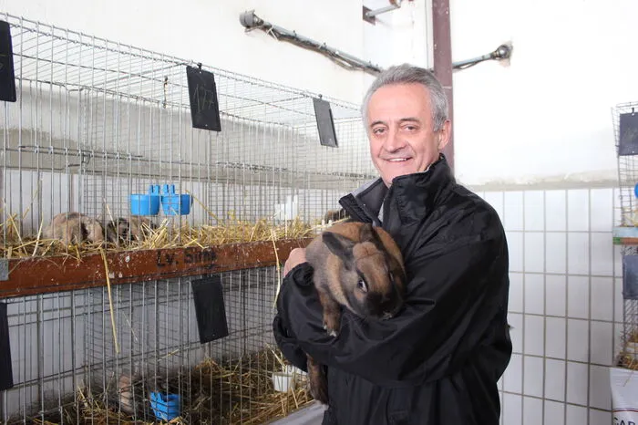 Der Köflacher Kaninchenzüchter Josef Gallaun dürfte sich über hohe Bewertungen für seine Tiere freuen.