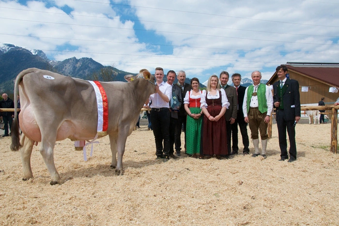 Schließlich wurde "Miss Liesingtal" gekürt, die schönste Kuh der Rinderschau. Über den Titel konnte sich "Streussl" freuen -  und ihre Besitzer, Michaela und Johann Stauber aus dem Kammerner Ortsteil Dirnsdorf.