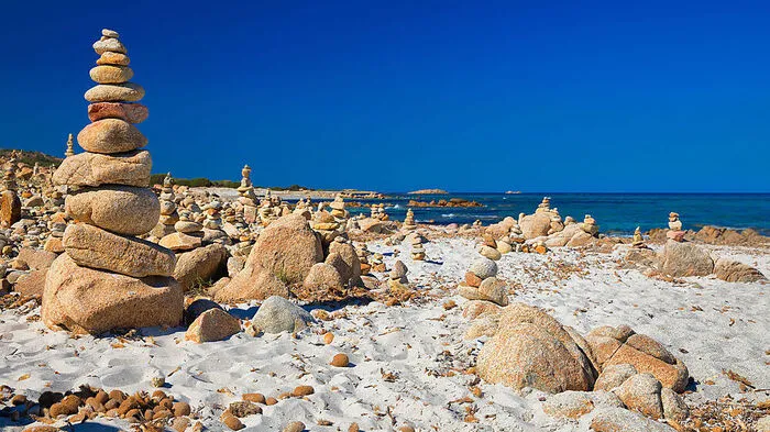 Ein Strand, Post-Mensch