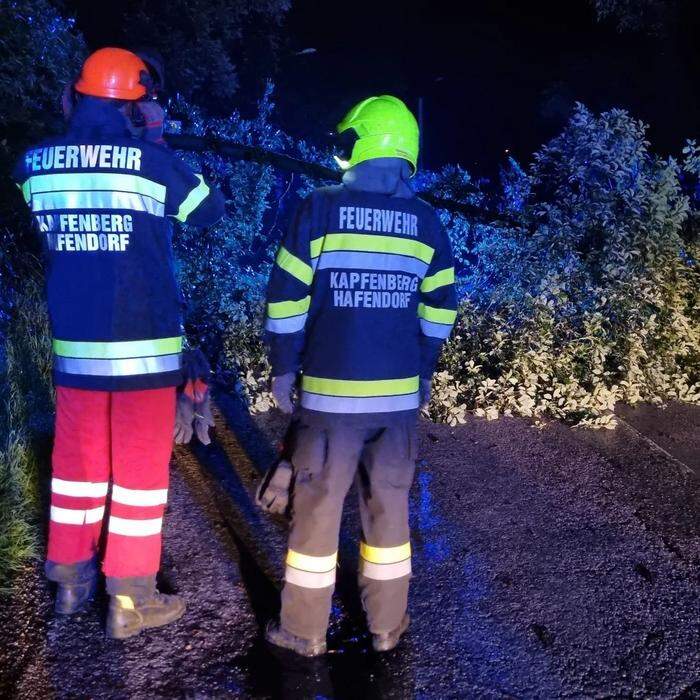 Die Feuerwehr Hafendorf rückte zu einem umgestürzten Baum aus
