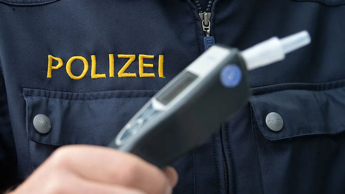 Sowohl Fahrer als auch Beifahrer waren betrunken (Symbolbild)