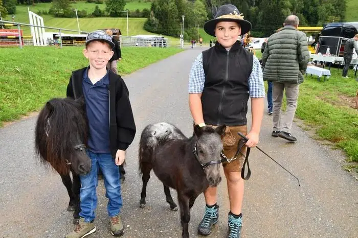 Besonders die jüngsten Vierbeiner zogen die Blicke auf sich. Haflinger, Noriker und Ponys wurden bestaunt, gestreichelt und aus allen möglichen Perspektiven fotografiert. Eingebettet in den Pferdemarkt war das Fohlenchampionat des Landespferdezuchtverbandes für die drei Rassen.