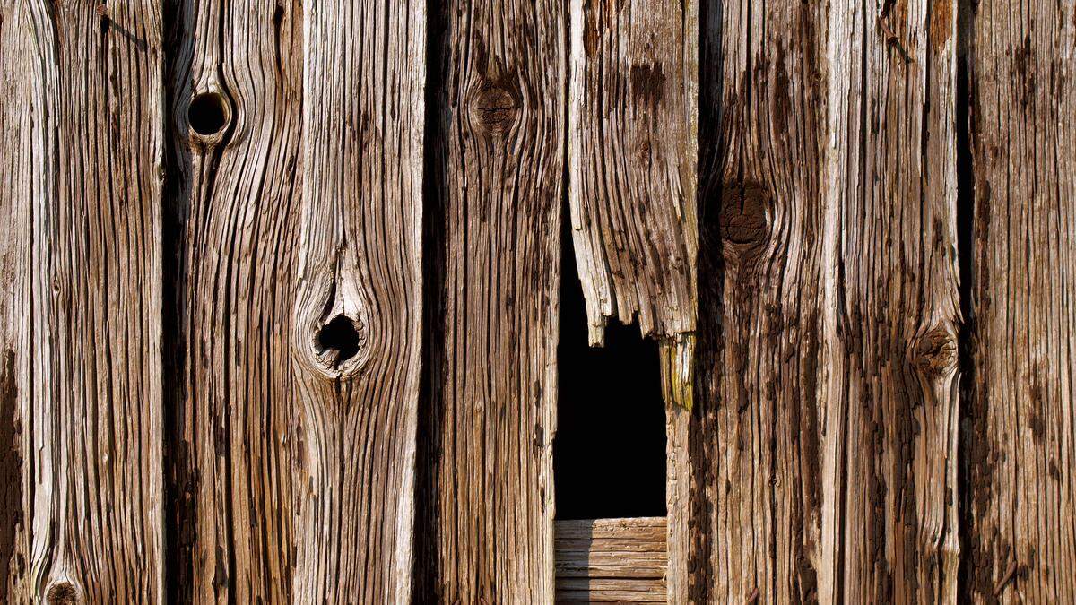 Lücke in den Brettern eines alten Holzschuppens | Die Hütte war bereits in einem desolaten Zustand (Sujetbild)