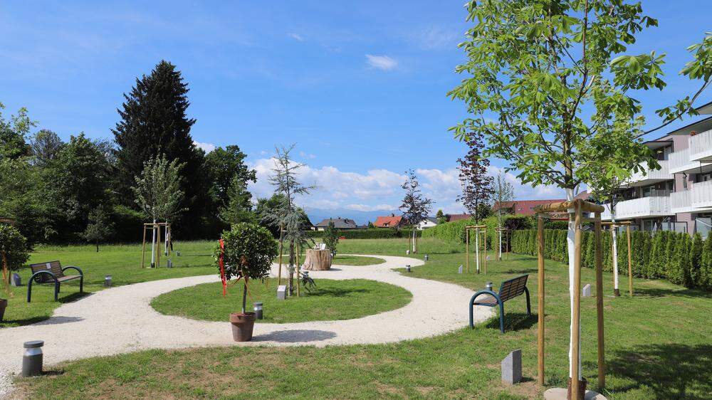 Am Knittelfelder Friedhof sind ab Ende Juni auch Baumbestattungen möglich