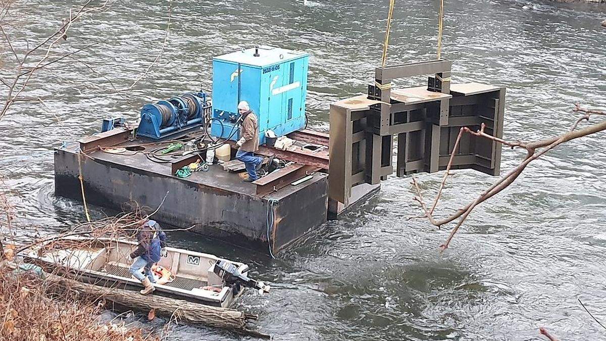 Der Baumschutz für die Insel wird per &quot;Floß&quot; transportiert