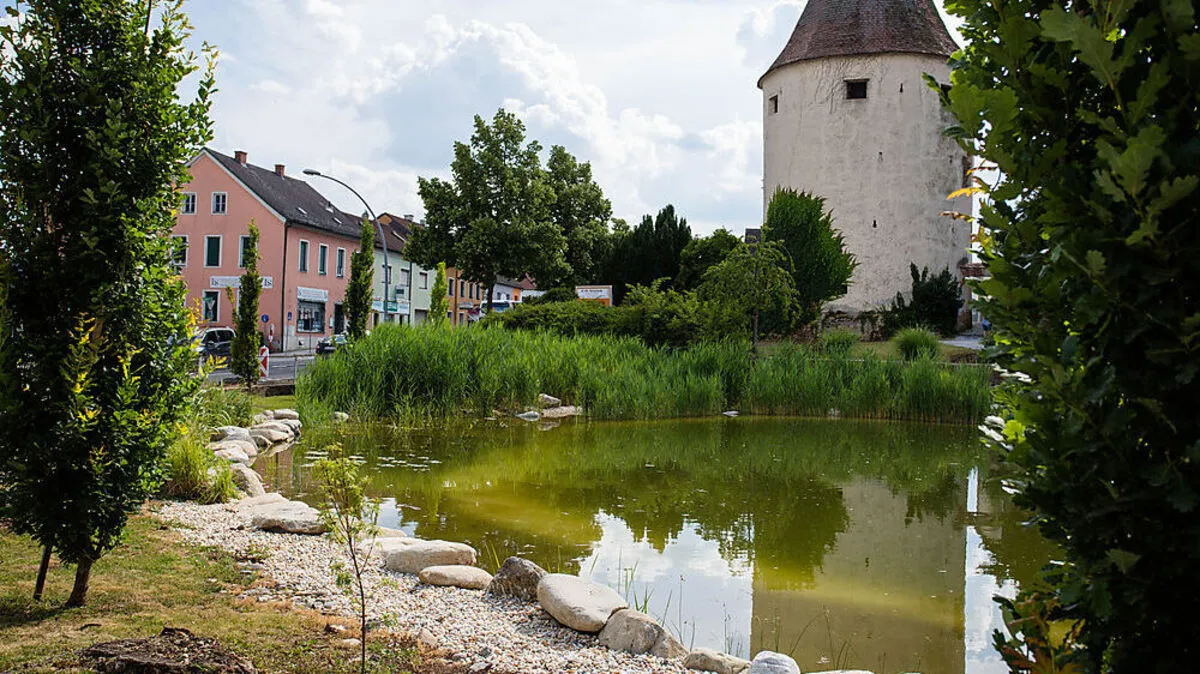 Der neu gestaltete Teich